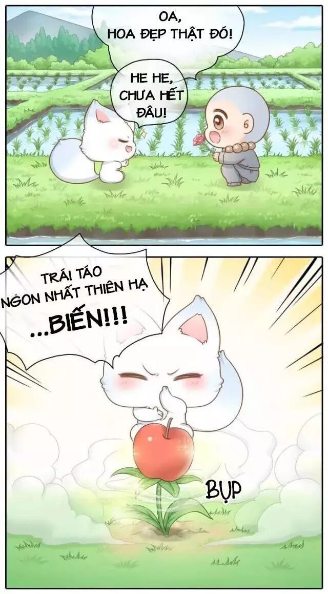 Tiểu Hồ Ly vs Tiểu Hóa Thượng: Chapter 38