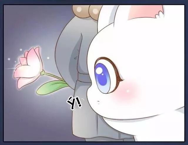 Tiểu Hồ Ly vs Tiểu Hóa Thượng: Chapter 39