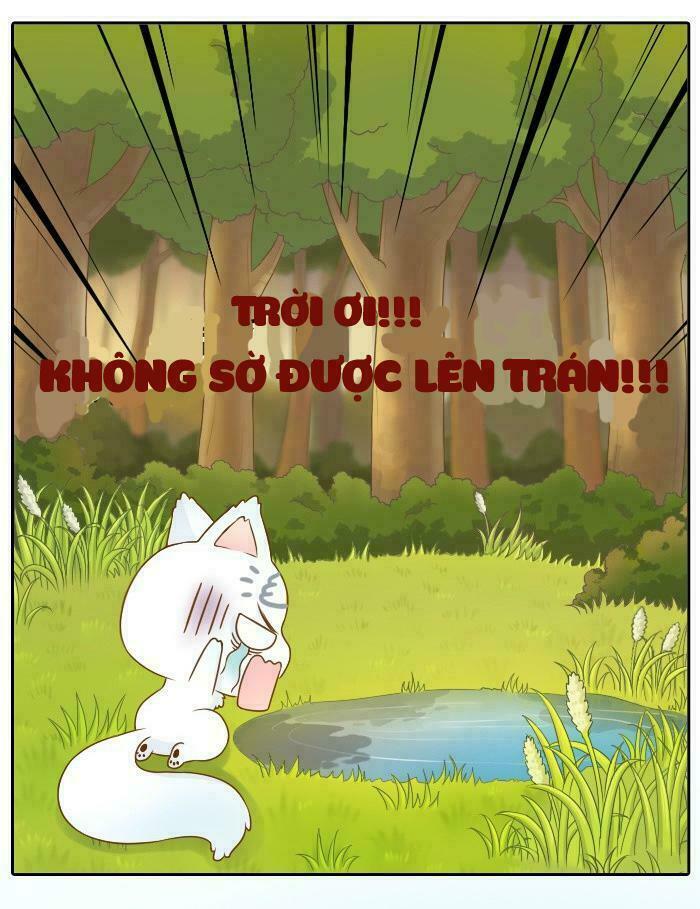 Tiểu Hồ Ly vs Tiểu Hóa Thượng: Chapter 4