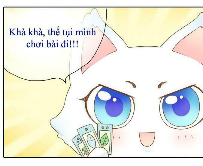 Tiểu Hồ Ly vs Tiểu Hóa Thượng: Chapter 4