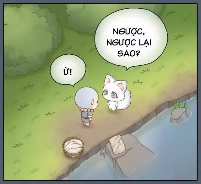 Tiểu Hồ Ly vs Tiểu Hóa Thượng: Chapter 40
