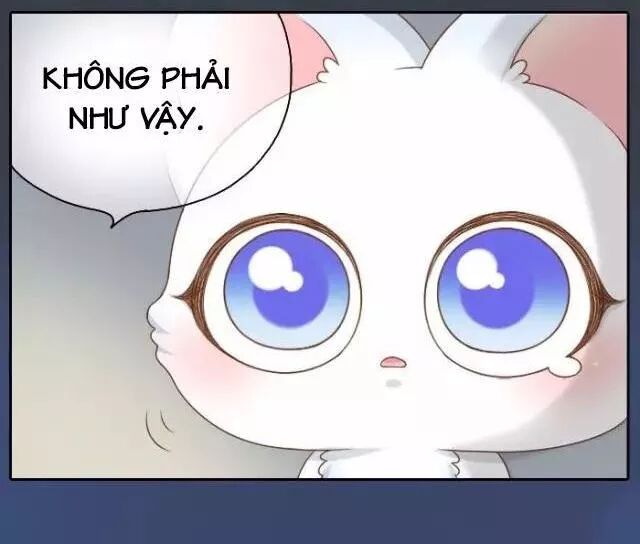 Tiểu Hồ Ly vs Tiểu Hóa Thượng: Chapter 40