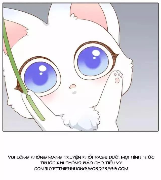 Tiểu Hồ Ly vs Tiểu Hóa Thượng: Chapter 42