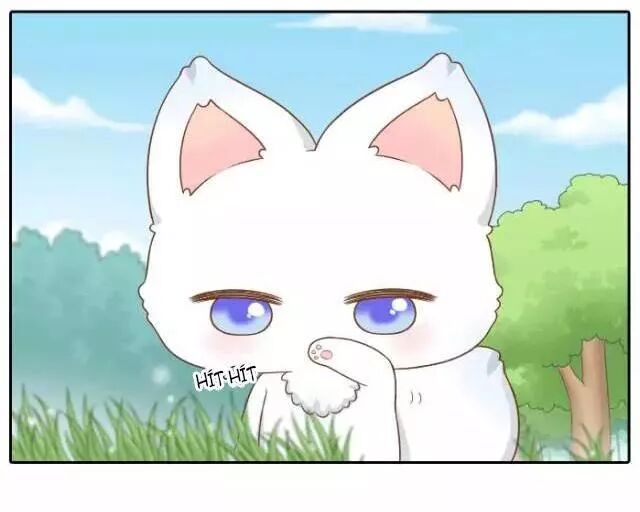 Tiểu Hồ Ly vs Tiểu Hóa Thượng: Chapter 42