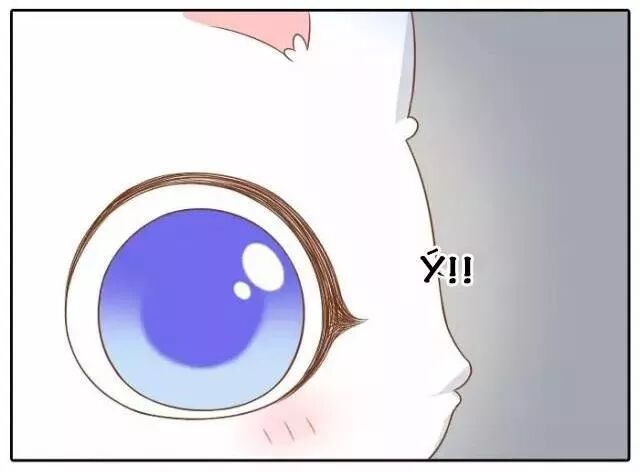 Tiểu Hồ Ly vs Tiểu Hóa Thượng: Chapter 42