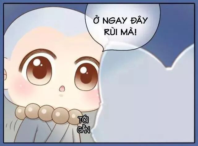 Tiểu Hồ Ly vs Tiểu Hóa Thượng: Chapter 44