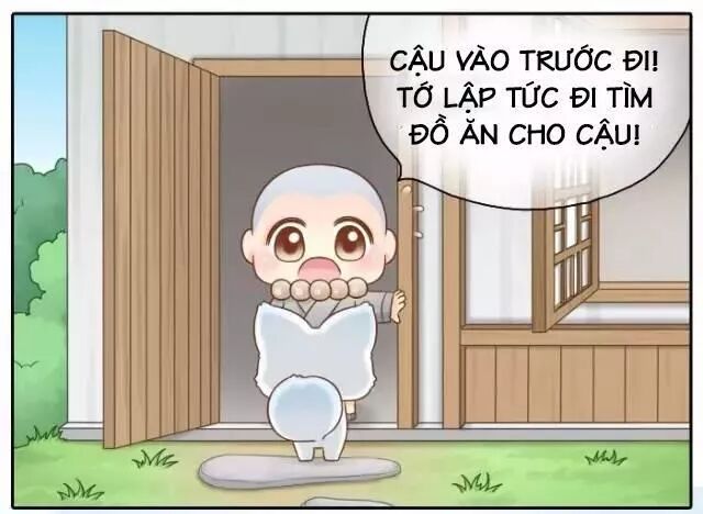 Tiểu Hồ Ly vs Tiểu Hóa Thượng: Chapter 46