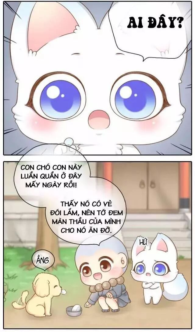 Tiểu Hồ Ly vs Tiểu Hóa Thượng: Chapter 46