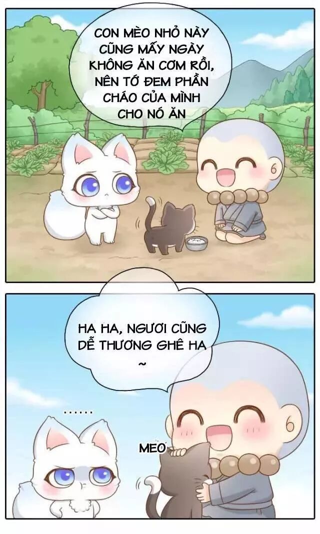 Tiểu Hồ Ly vs Tiểu Hóa Thượng: Chapter 46