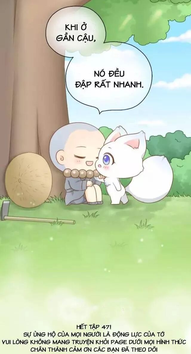 Tiểu Hồ Ly vs Tiểu Hóa Thượng: Chapter 47