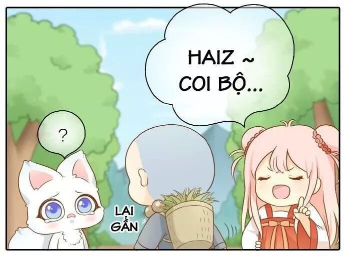 Tiểu Hồ Ly vs Tiểu Hóa Thượng: Chapter 49