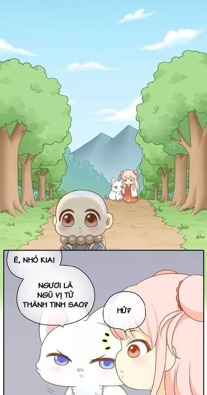 Tiểu Hồ Ly vs Tiểu Hóa Thượng: Chapter 49