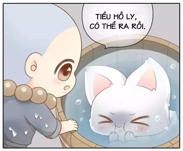 Tiểu Hồ Ly vs Tiểu Hóa Thượng: Chapter 50