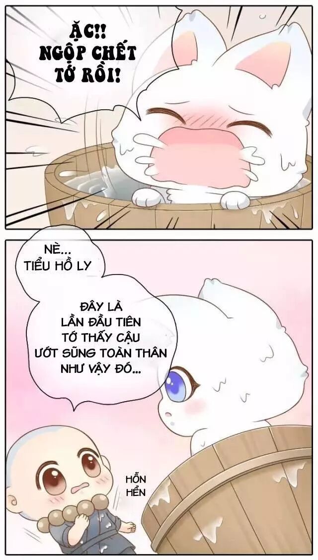 Tiểu Hồ Ly vs Tiểu Hóa Thượng: Chapter 50