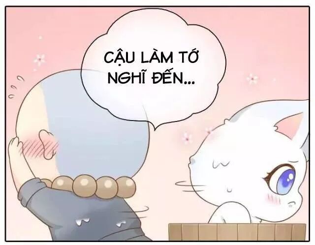 Tiểu Hồ Ly vs Tiểu Hóa Thượng: Chapter 50