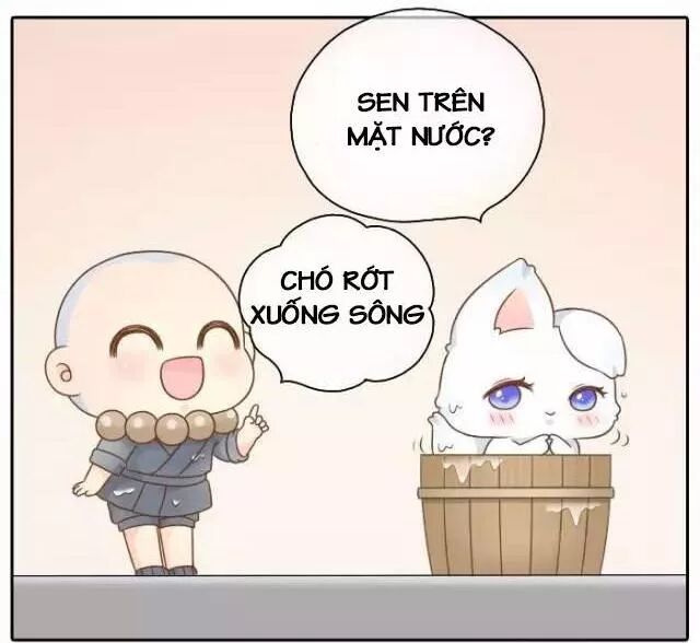 Tiểu Hồ Ly vs Tiểu Hóa Thượng: Chapter 50