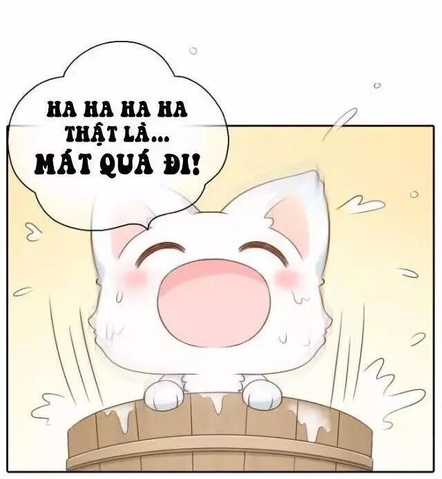 Tiểu Hồ Ly vs Tiểu Hóa Thượng: Chapter 50