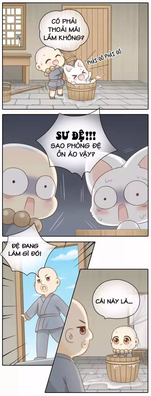 Tiểu Hồ Ly vs Tiểu Hóa Thượng: Chapter 50