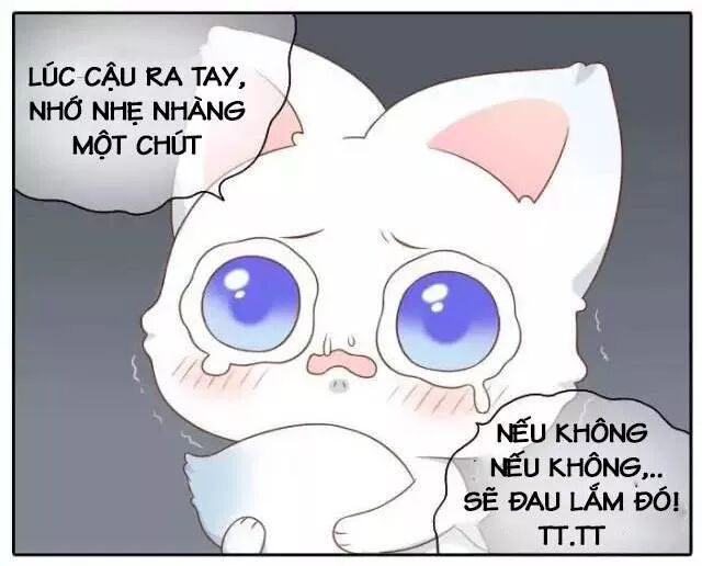 Tiểu Hồ Ly vs Tiểu Hóa Thượng: Chapter 51