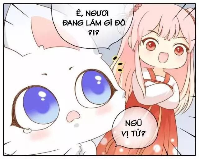 Tiểu Hồ Ly vs Tiểu Hóa Thượng: Chapter 51