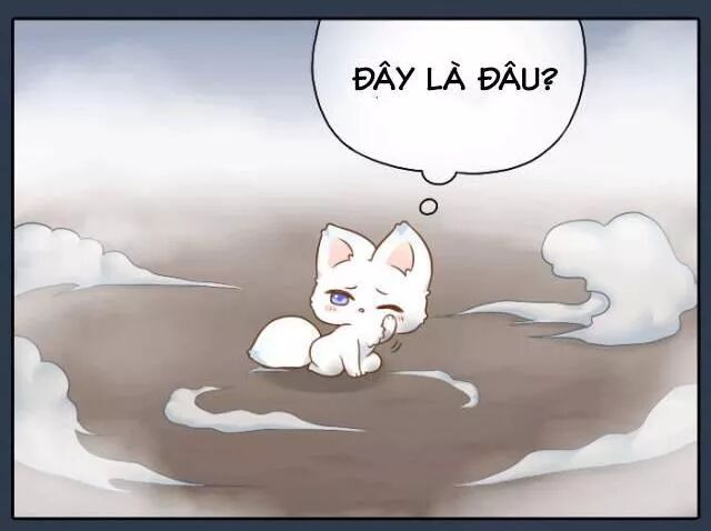 Tiểu Hồ Ly vs Tiểu Hóa Thượng: Chapter 52