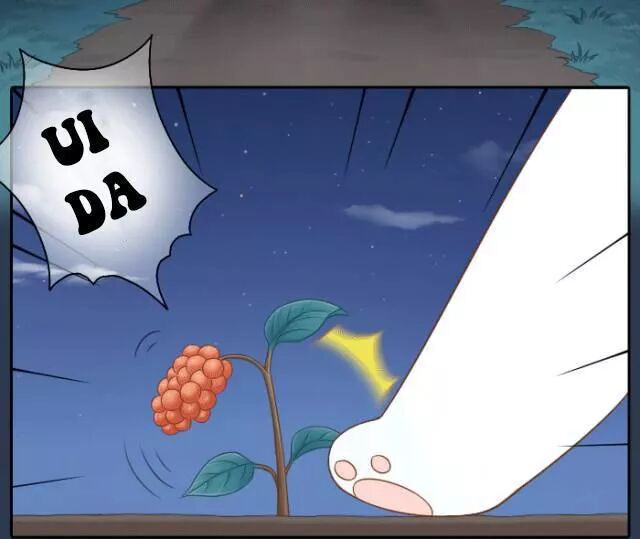 Tiểu Hồ Ly vs Tiểu Hóa Thượng: Chapter 52