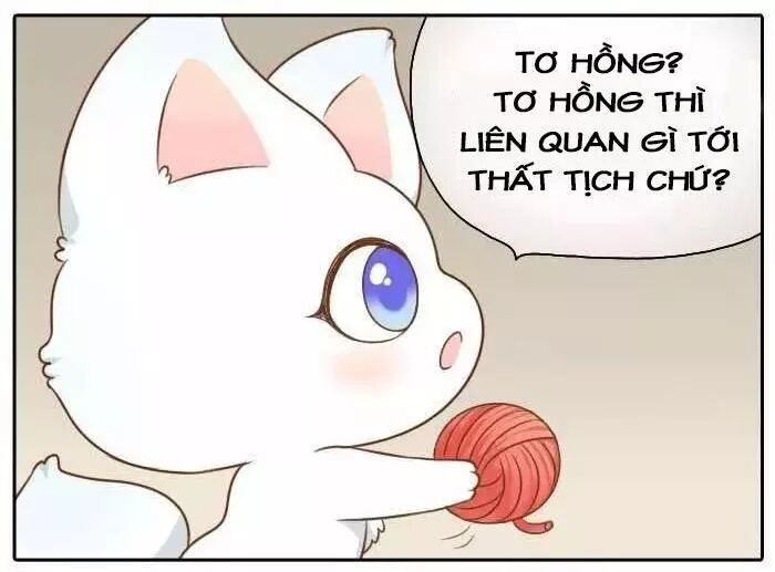 Tiểu Hồ Ly vs Tiểu Hóa Thượng: Chapter 55