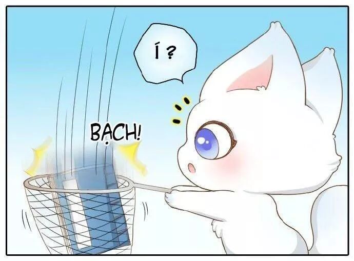 Tiểu Hồ Ly vs Tiểu Hóa Thượng: Chapter 58