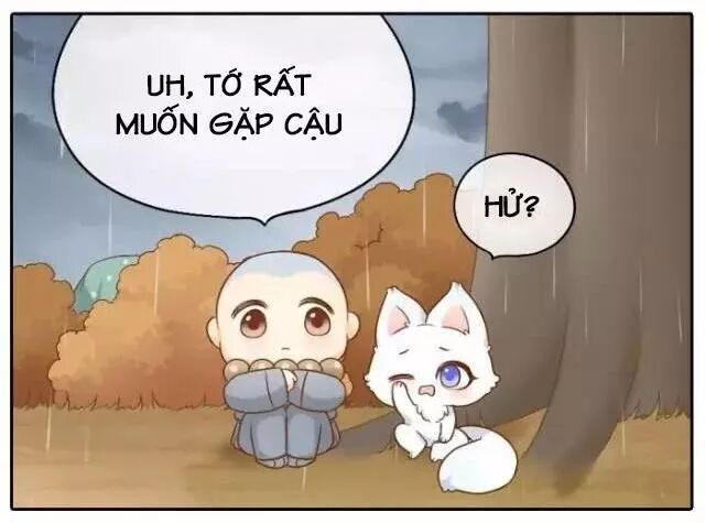 Tiểu Hồ Ly vs Tiểu Hóa Thượng: Chapter 65