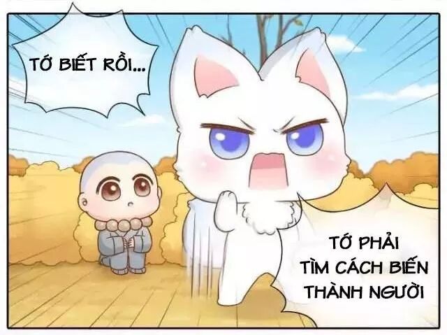 Tiểu Hồ Ly vs Tiểu Hóa Thượng: Chapter 66