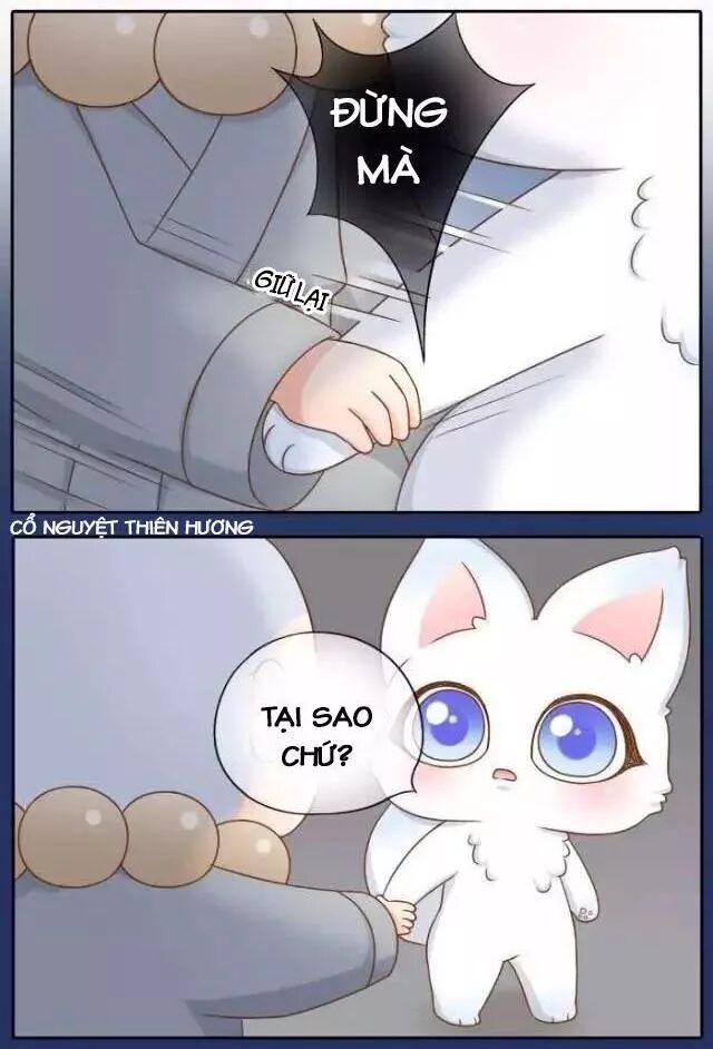 Tiểu Hồ Ly vs Tiểu Hóa Thượng: Chapter 66