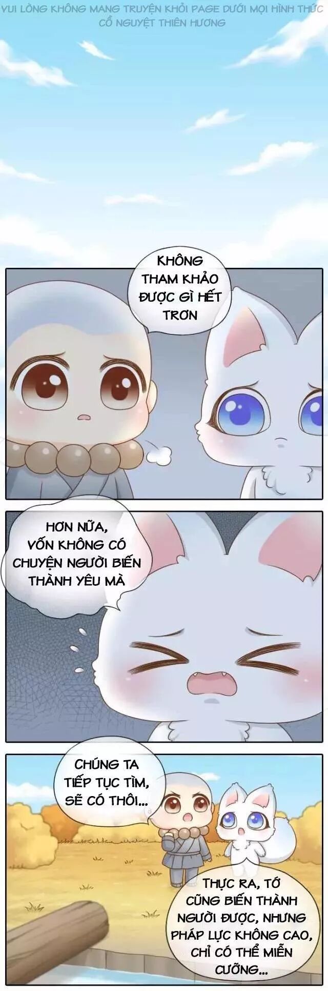 Tiểu Hồ Ly vs Tiểu Hóa Thượng: Chapter 66