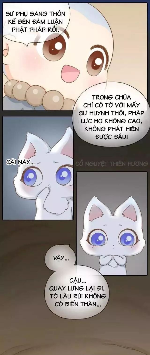 Tiểu Hồ Ly vs Tiểu Hóa Thượng: Chapter 67
