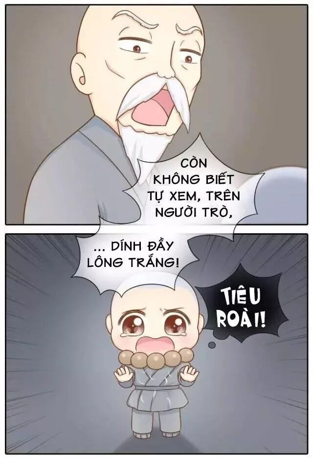 Tiểu Hồ Ly vs Tiểu Hóa Thượng: Chapter 71