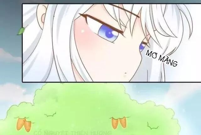 Tiểu Hồ Ly vs Tiểu Hóa Thượng: Chapter 72