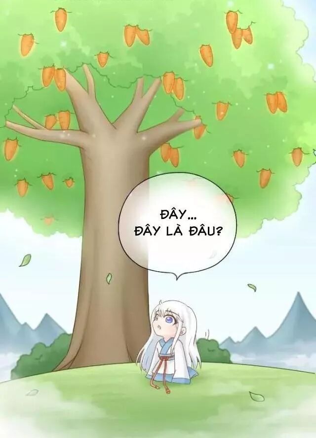 Tiểu Hồ Ly vs Tiểu Hóa Thượng: Chapter 72