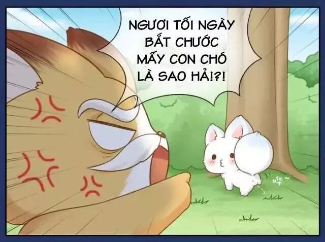 Tiểu Hồ Ly vs Tiểu Hóa Thượng: Chapter 74