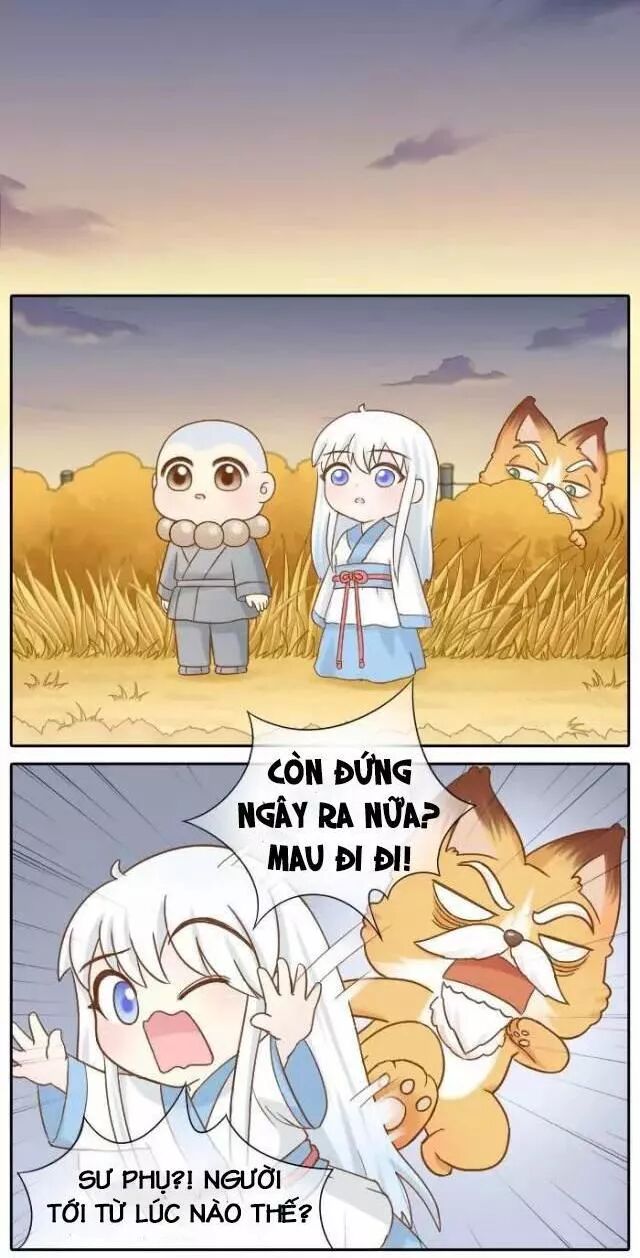 Tiểu Hồ Ly vs Tiểu Hóa Thượng: Chapter 75: END