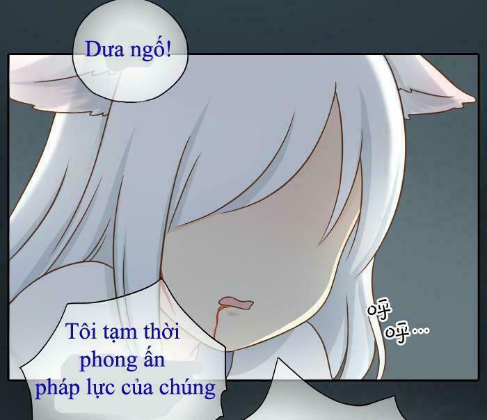 Tiểu Hồ Ly vs Tiểu Hóa Thượng: Chapter 8