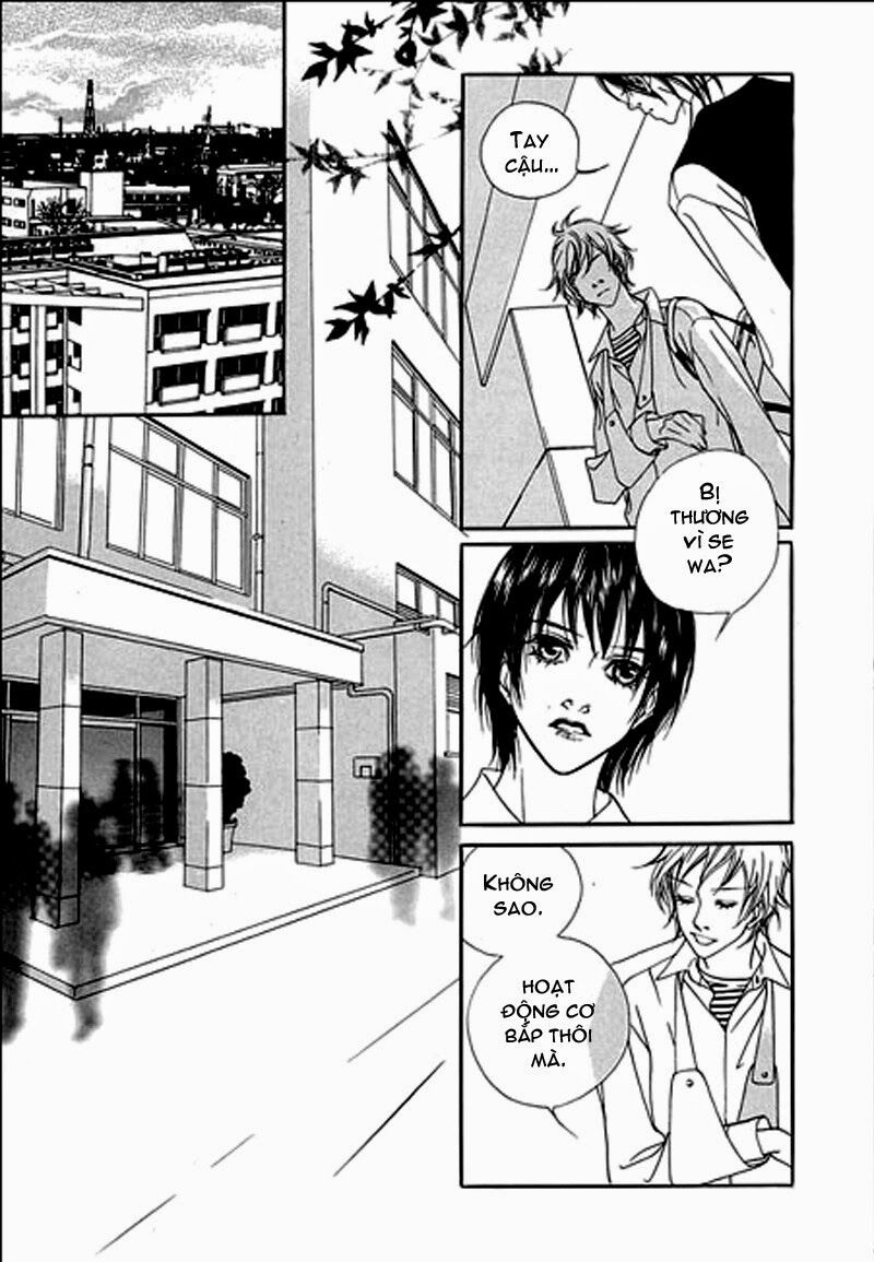Bông Hoa Của Tội Lỗi: Chapter 11
