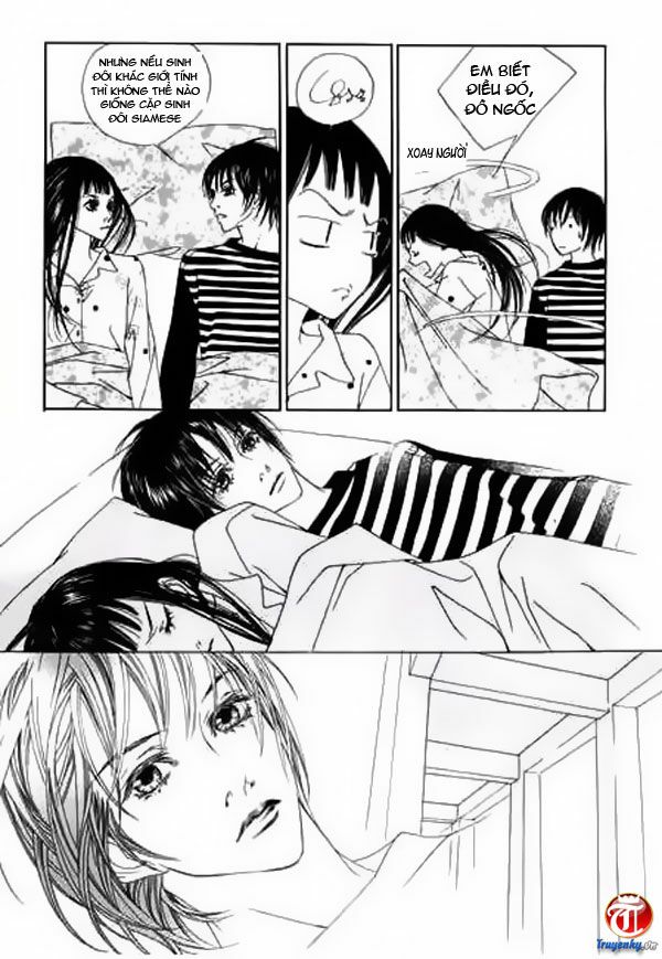 Bông Hoa Của Tội Lỗi: Chapter 3