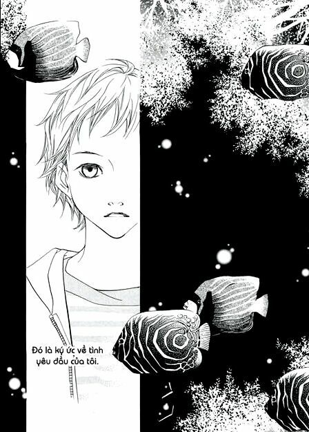 Bông Hoa Của Tội Lỗi: Chapter 4