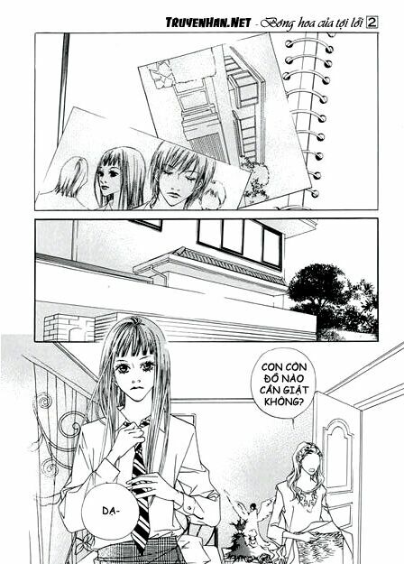 Bông Hoa Của Tội Lỗi: Chapter 4