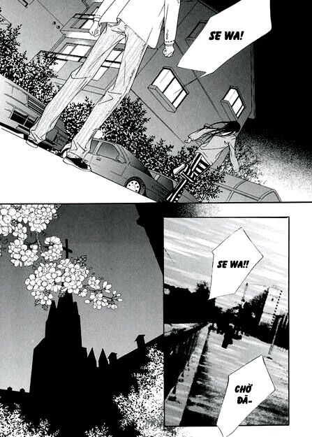 Bông Hoa Của Tội Lỗi: Chapter 7