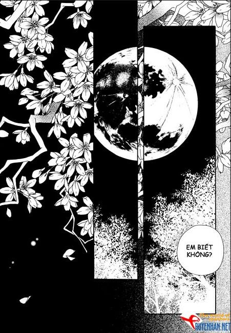 Bông Hoa Của Tội Lỗi: Chapter 8