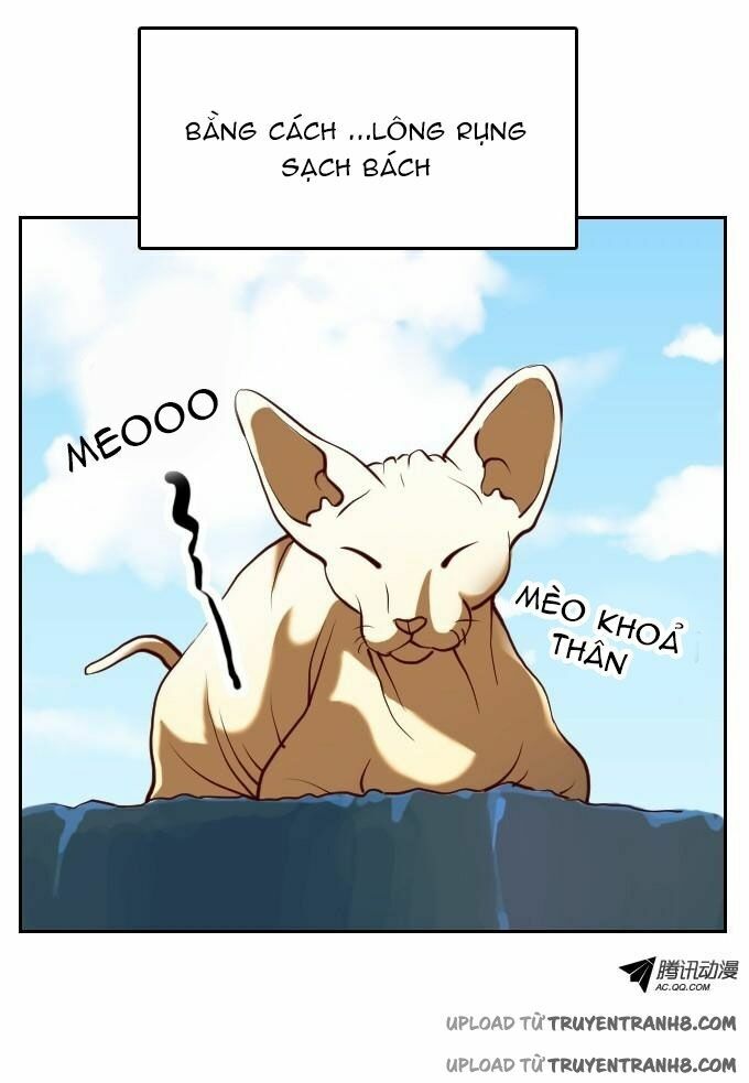 Ớn Lạnh Tuyệt Đối: Chapter 21