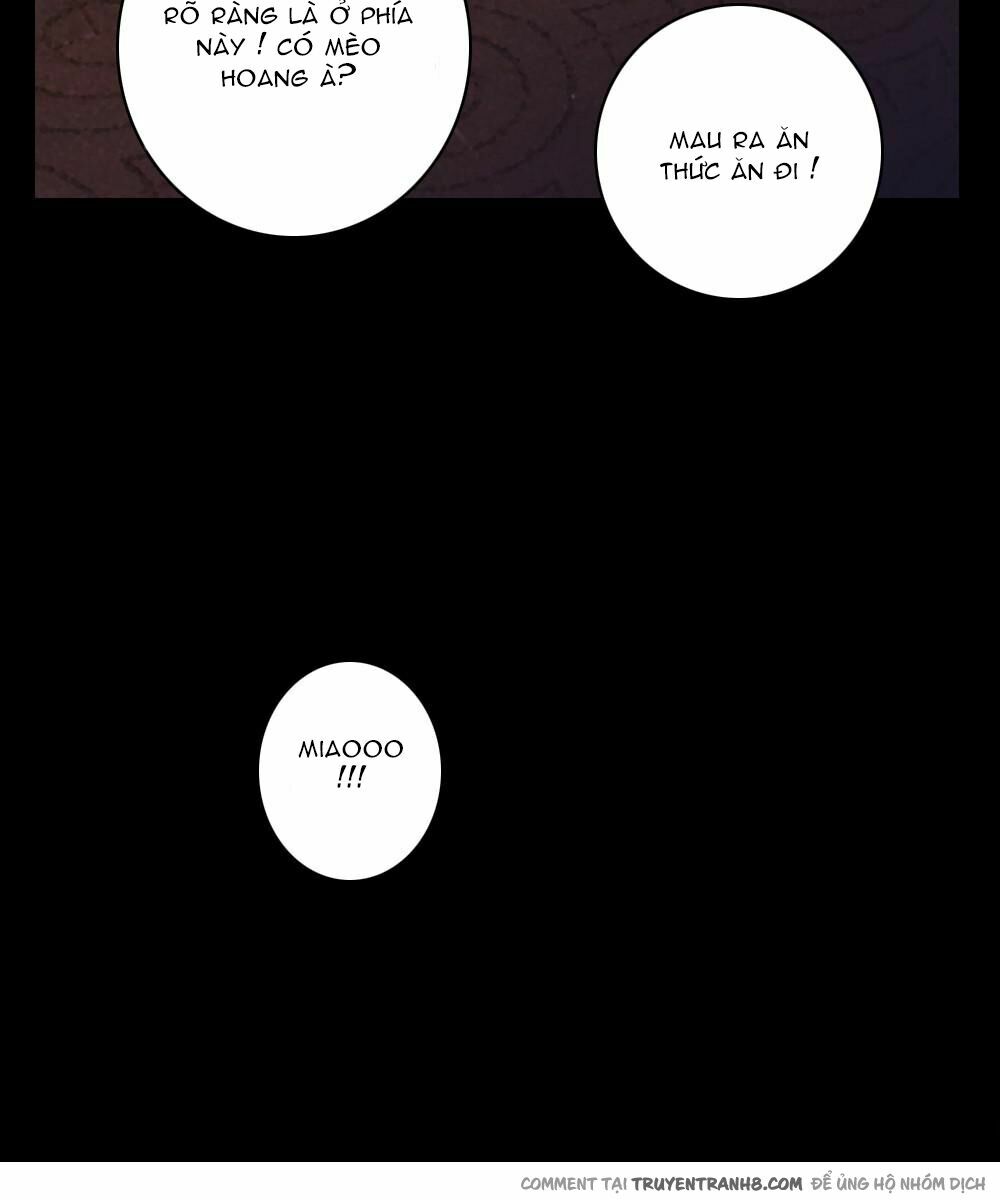 Ớn Lạnh Tuyệt Đối: Chapter 3