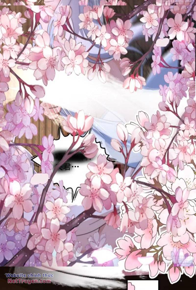 Nữ Đồ Đệ Ai Nấy Đều Muốn Giết Ta: Chapter 144