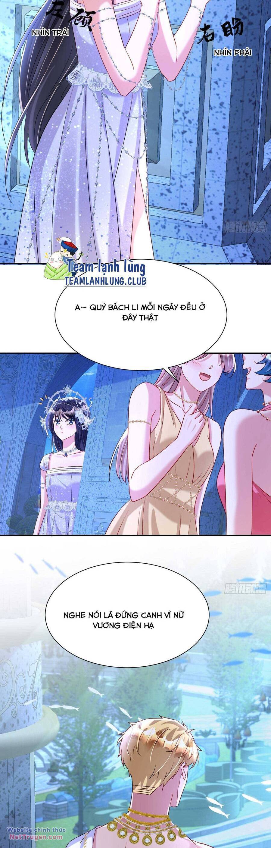 Tổng Tài Huyết Tộc Cực Sủng Cô Vợ Mỹ Nhân Ngư: Chapter 175