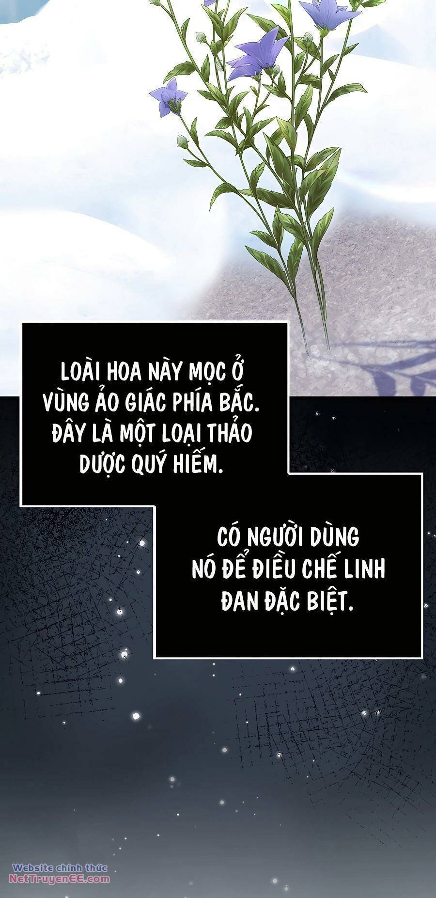 Pháp Sư Cận Chiến Mạnh Nhất: Chương 11